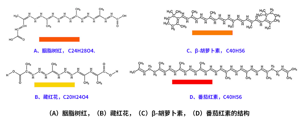 藏紅花、胭脂樹紅、β-胡蘿卜素、番茄紅素的化學(xué)結(jié)構(gòu)